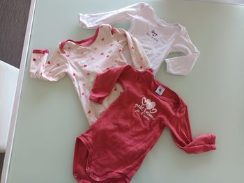 Lot de 3 bodies petit bateau, manches longues, 12 mois