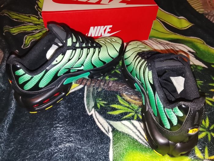 TN neuve 60€ - photo numéro 2