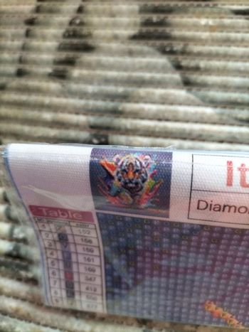 🎨Diamond Painting - Tigre tout en couleur🎨