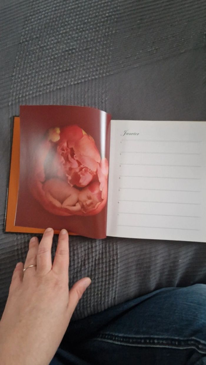 Agenda perpétuel anne geddes - photo numéro 5