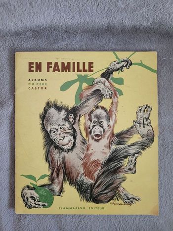 En famille- Les albums du Père Castor