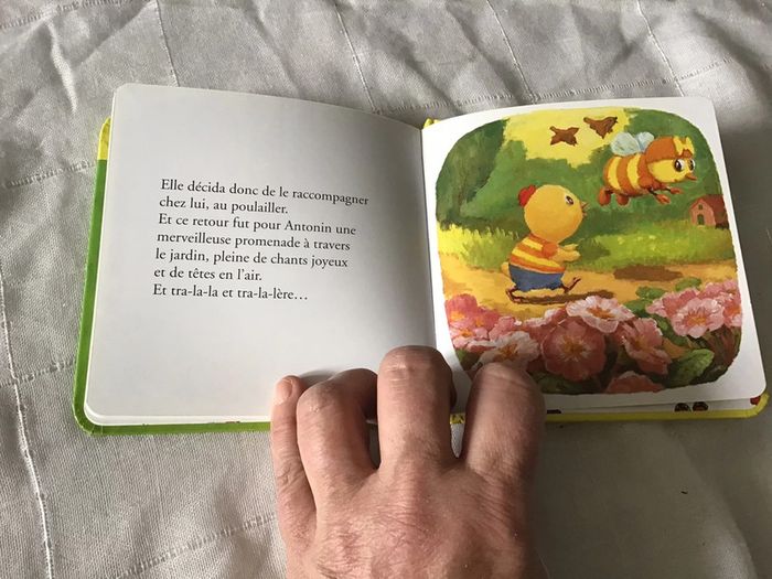 Petit livre Antonin le poussin - photo numéro 5