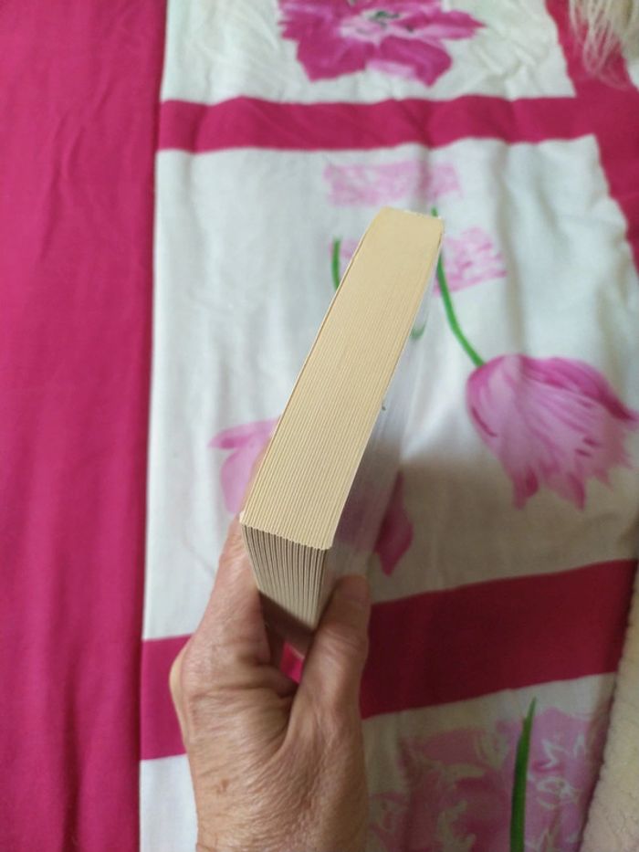 Quelque part dans le monde de Claude Michelet - photo numéro 4