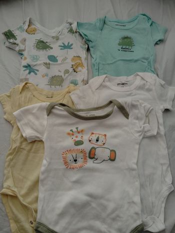 Lot de bodies manches courtes 12mois 