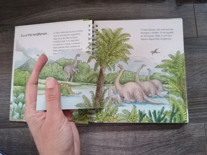 Livres les p'tits juniors - photo numéro 7