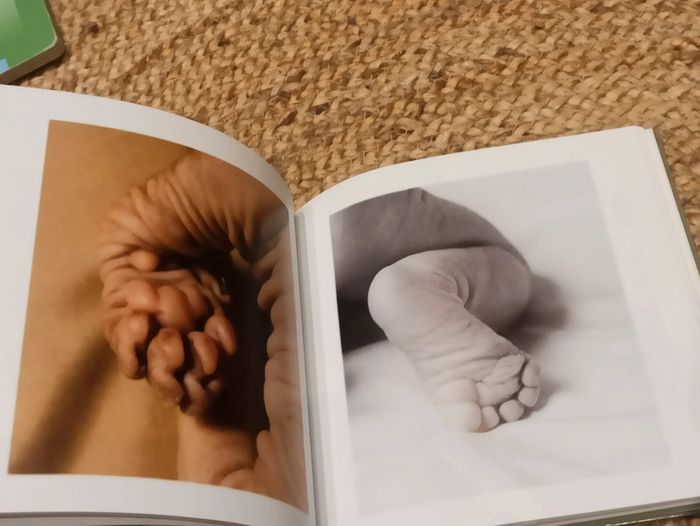 Livre Mon Petit chat - photo numéro 4