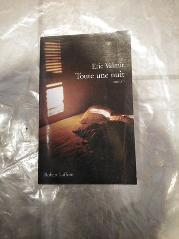 Toute une nuit d'Éric Valmir