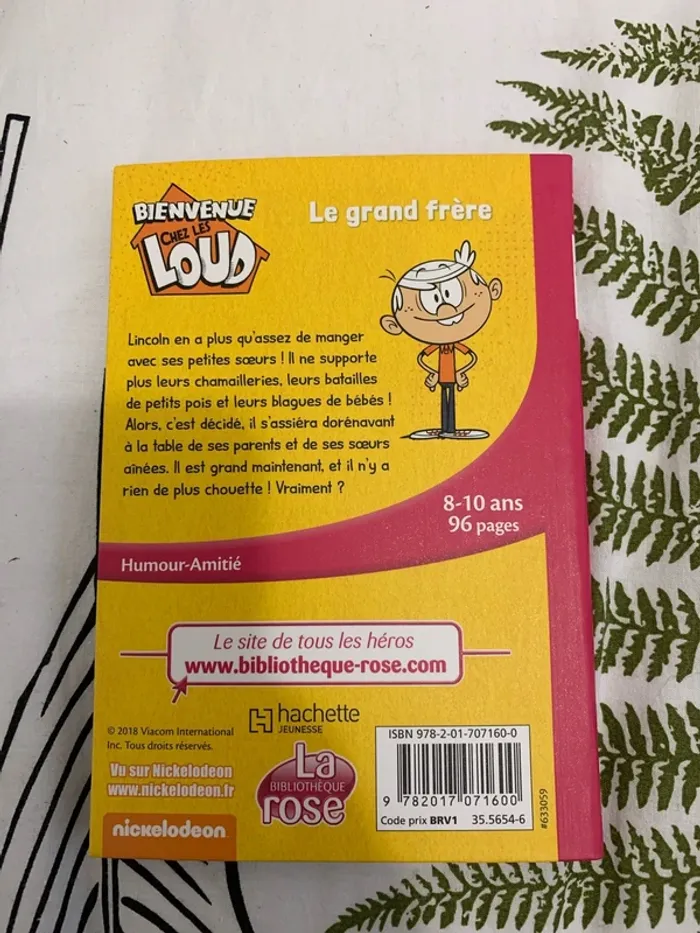Livre bienvenue chez les loud - photo numéro 2