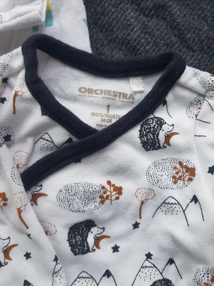 Bodys - photo numéro 3