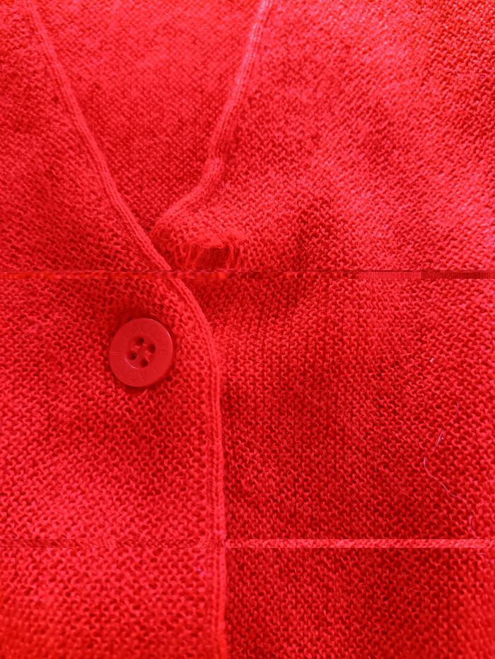 Gilet rouge lacoste - photo numéro 5