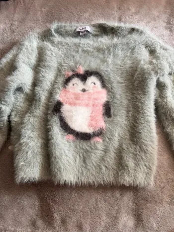 Pull hiver