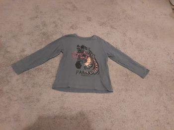 Tee shirt manches longues zebre