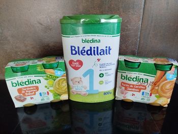 Blédilait 1  + Bledina