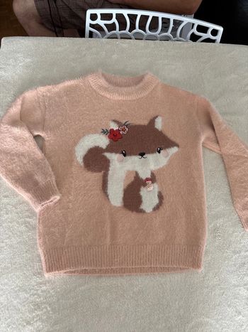 Pull hiver doux écureuil 122 7 ans