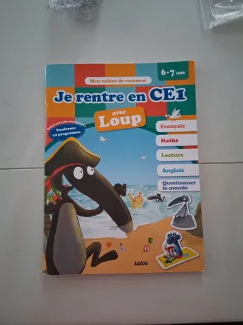 livre activité CE1