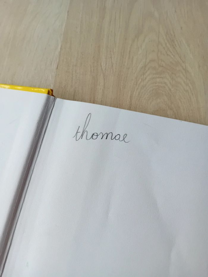 Livre mickey - photo numéro 2