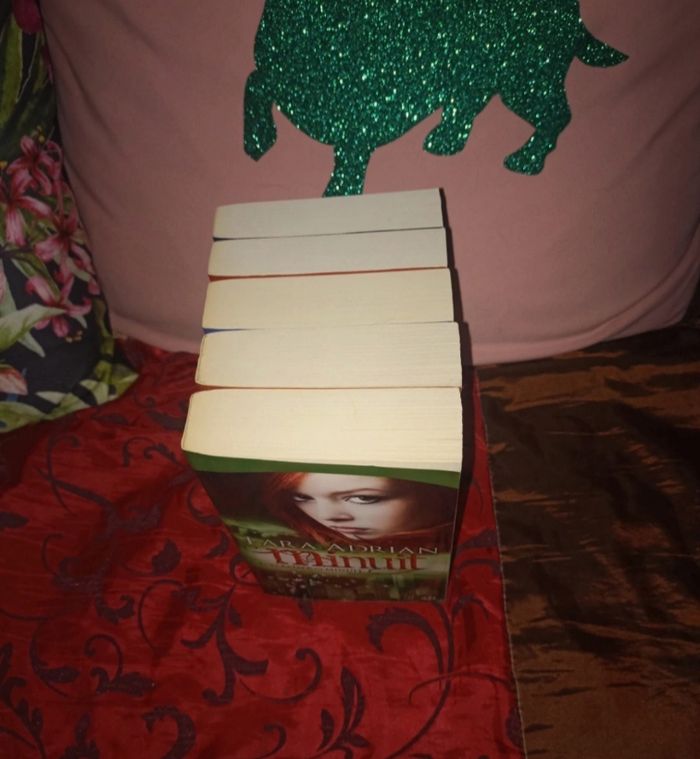 Collection de livres Minuit de Lara adrian Tome 1 à 5 - photo numéro 3