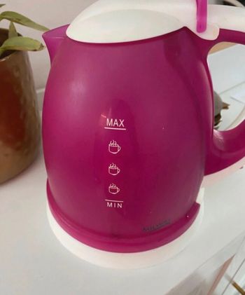 Bouilloire électrique