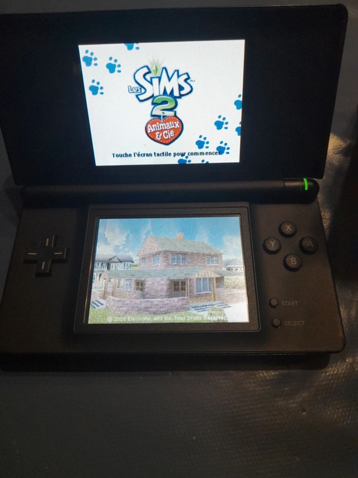 Les Sims 2 animaux &Cie Nintendo DS - photo numéro 12