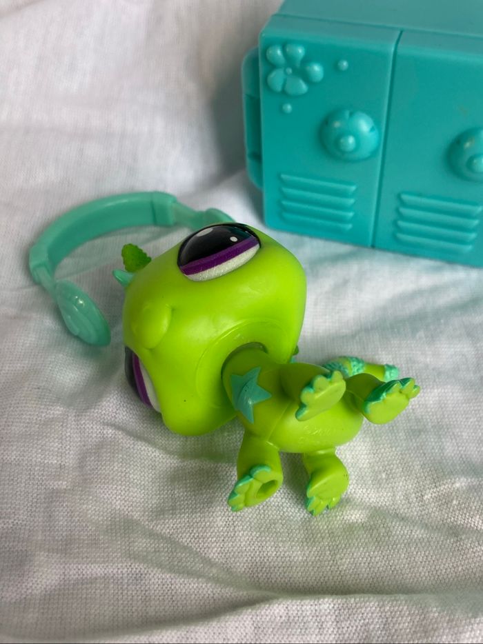 lps iguane - photo numéro 7