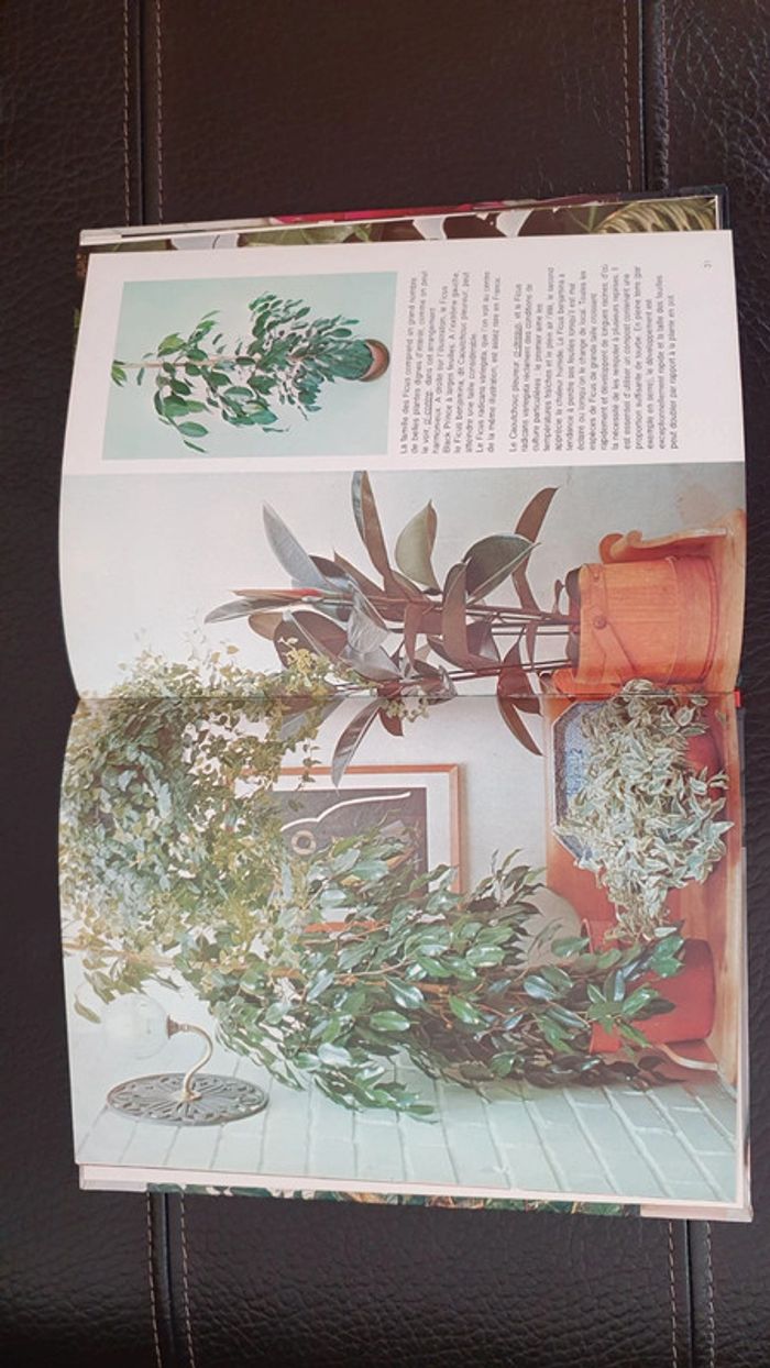 Livre " les plantes d'intérieur " collection Plaisir de voir - photo numéro 10