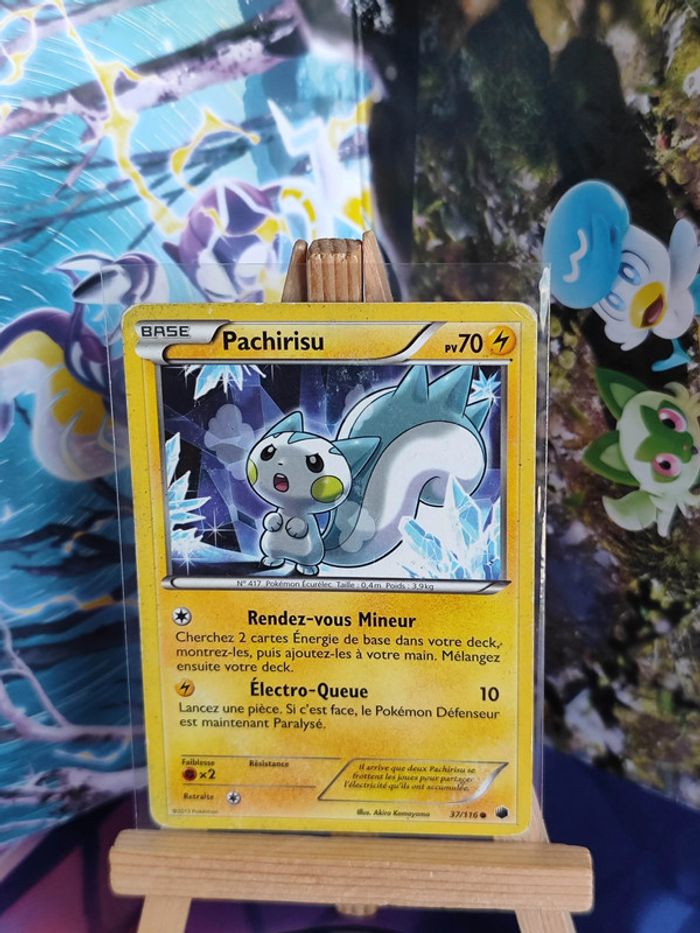 Pachirisu 37/116 glaciation plasma