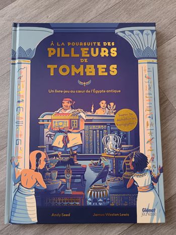 Livre Jeu A la poursuite des pilleurs de tombes