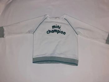 Pull mini champion