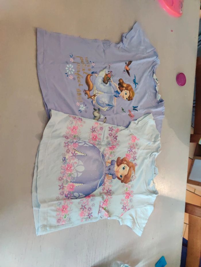 Lot t-shirt princesse Sofia