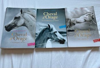 Lot de 3 livre cheval d’orage de Lauren st John 