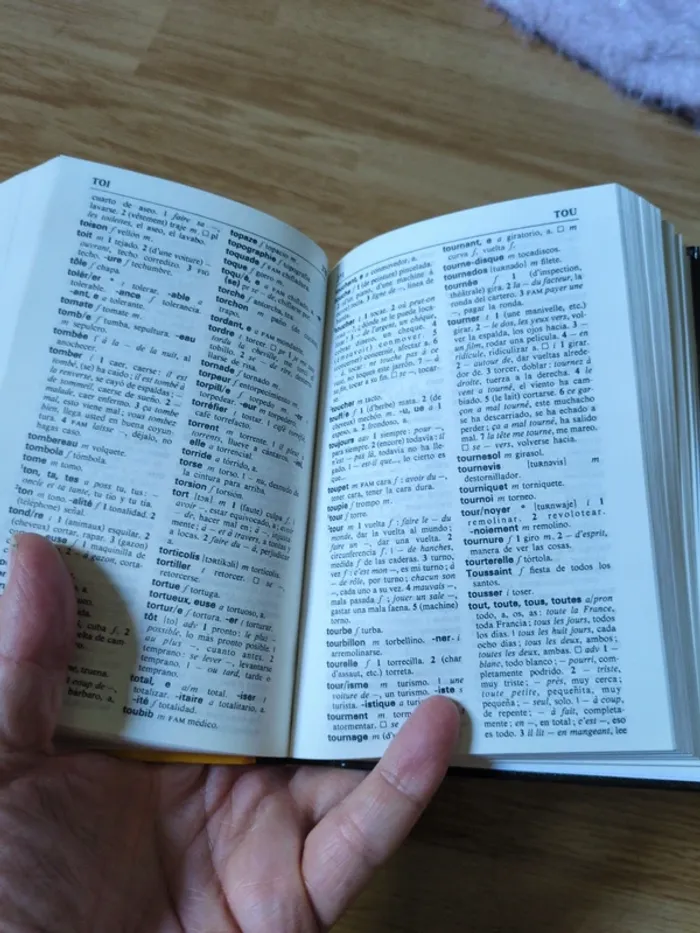 Petit dictionnaire Francais-Espagnol - photo numéro 3