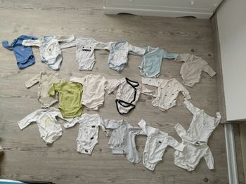 Lots de 17 bodies taille 54 cm