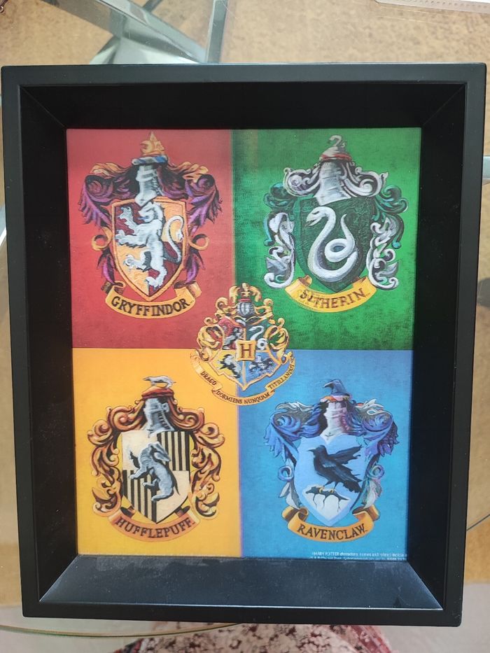 Cadre 3d harry potter