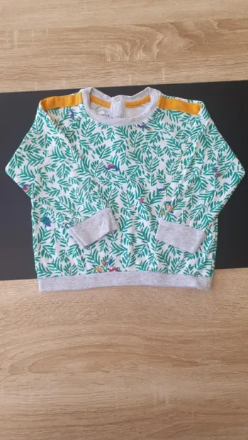 Pull petit bateau