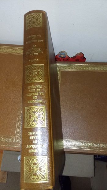 Lot de livres sur la France et les français