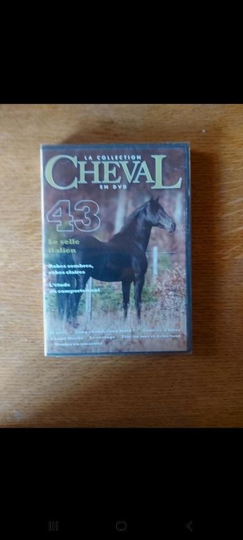 DVD