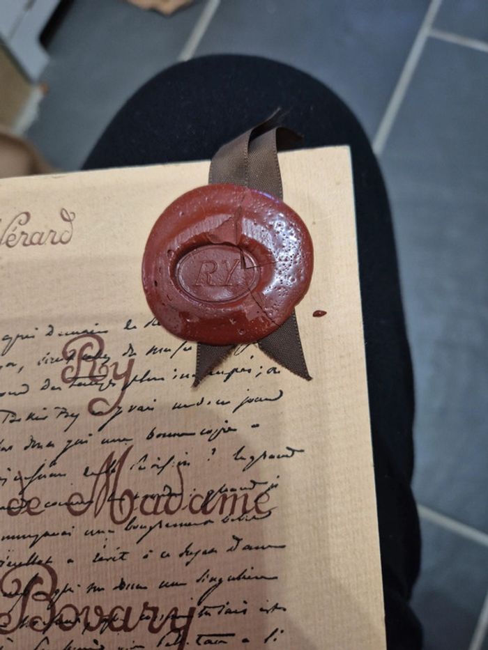 Livre ry pays de madame de bovary - photo numéro 4