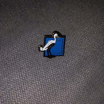 Pins parc ornithologique le teich