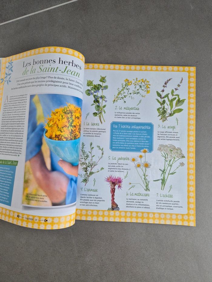 Magazines de jardinage 'jardin d'ici' - photo numéro 4