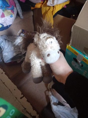 Galuppy de diddl env 20cm