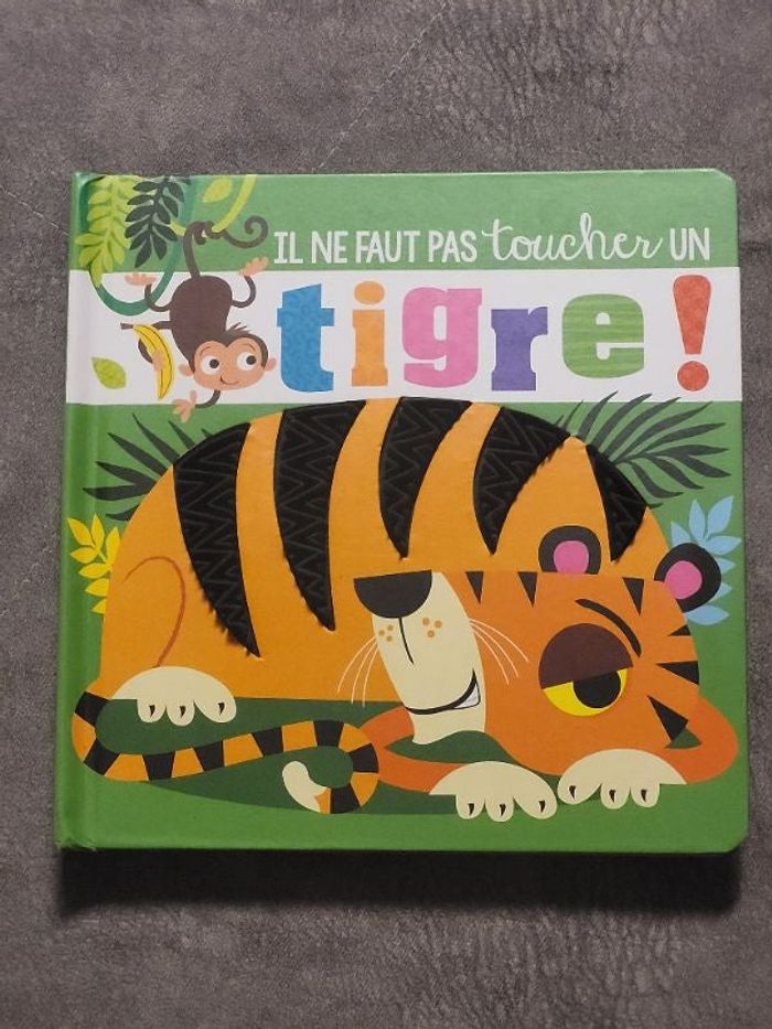 Il ne faut pas toucher un tigre ! Par Rosie Greening, Stuart Lynch