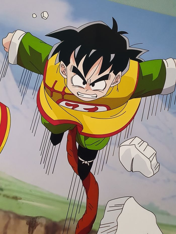 Dragon Ball affiche A4 - photo numéro 2