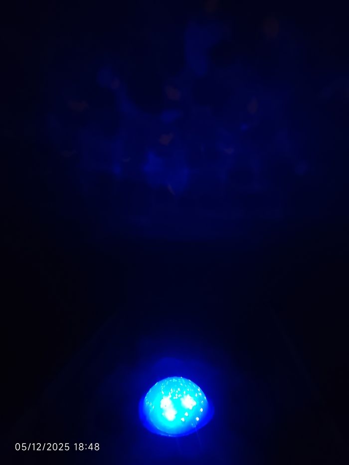 Veilleuse étoile - photo numéro 8