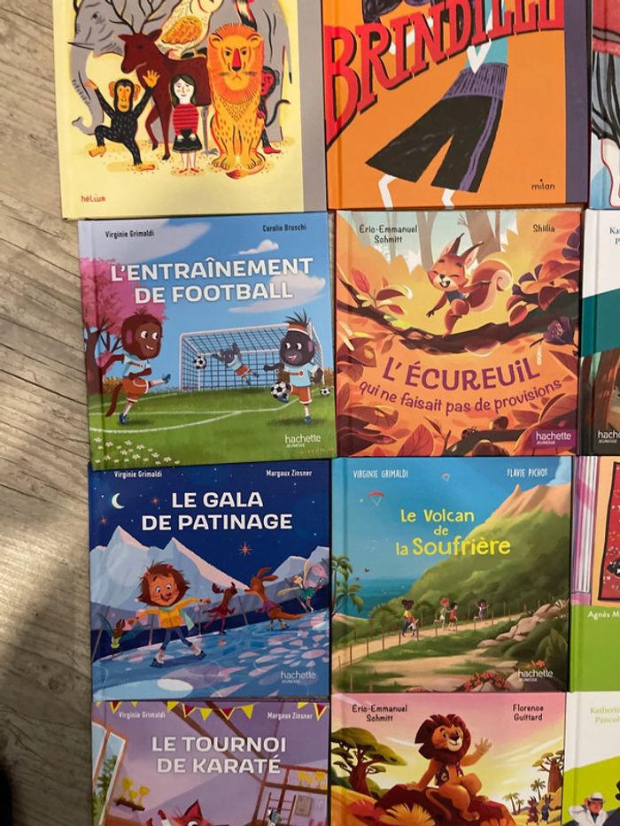 Lot de 14 livres - photo numéro 4