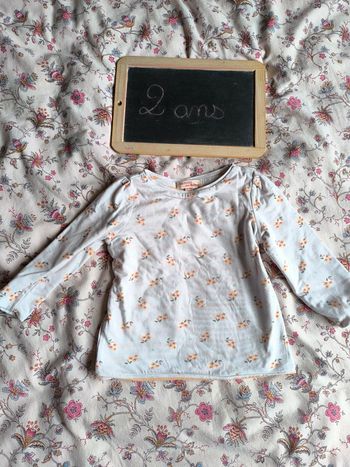 T-shirt manches longues doublé DPAM taille 2 ans en très bon état