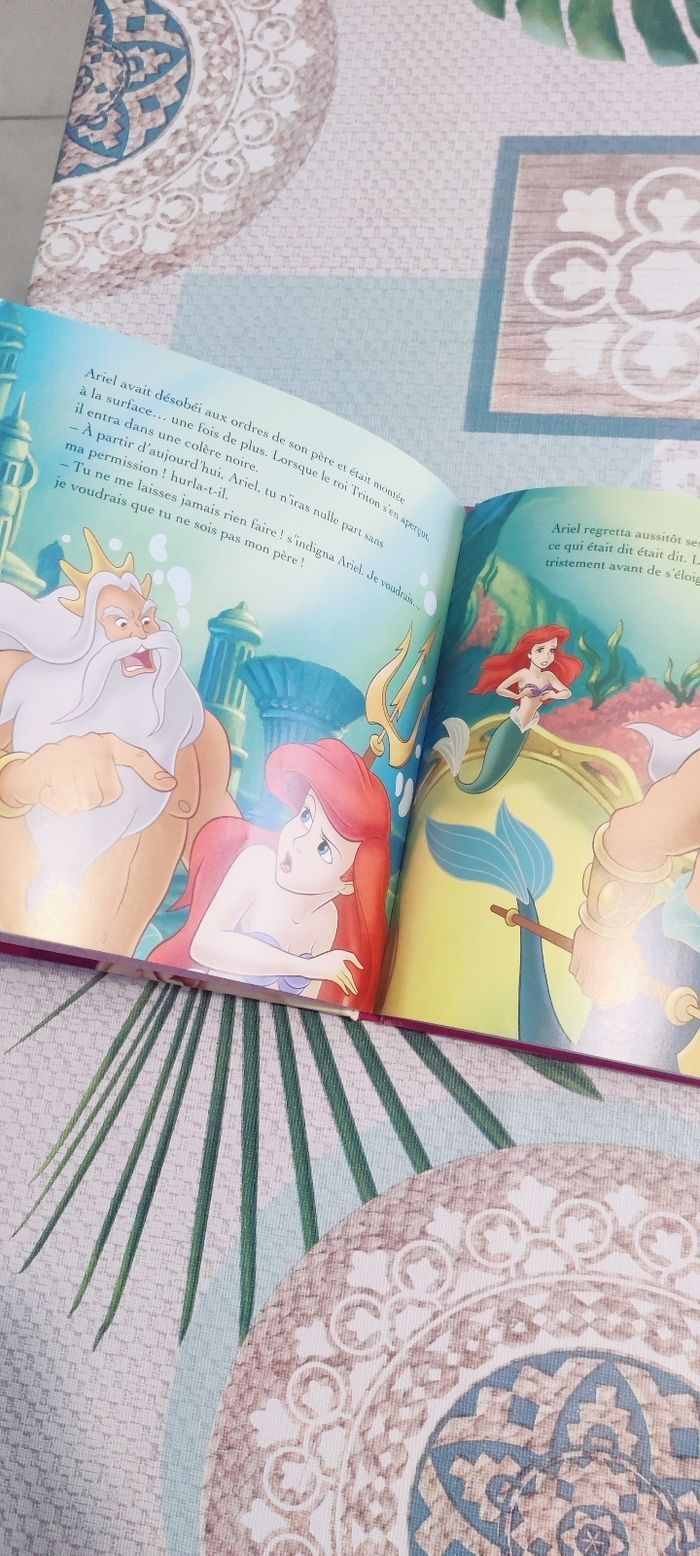 Livres Princesses - photo numéro 2