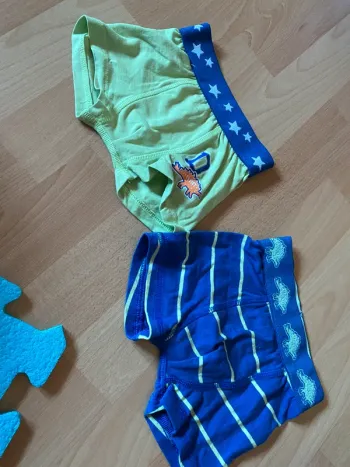 Lot de 2 boxers Kiki&Koko Taille 92 (1,5-2 ans) dinosaures vert/bleu