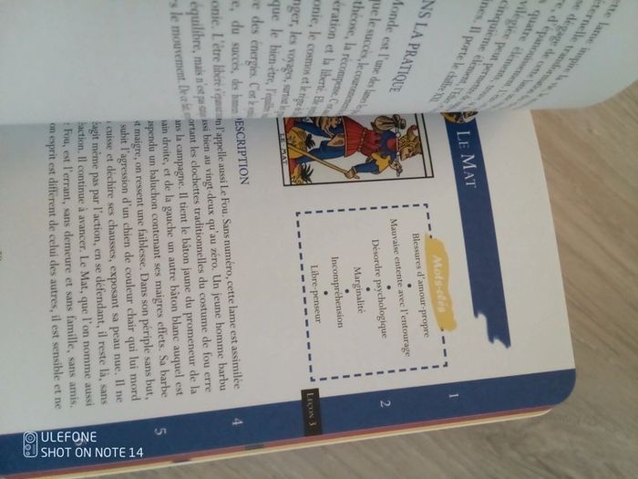 Le tarot en action L. Pelegry - photo numéro 3