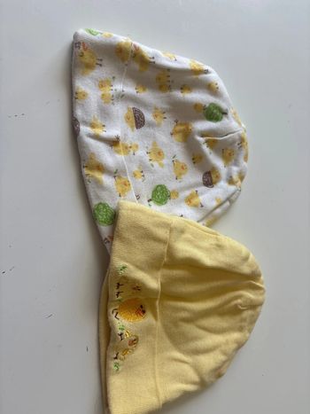 Bonnet