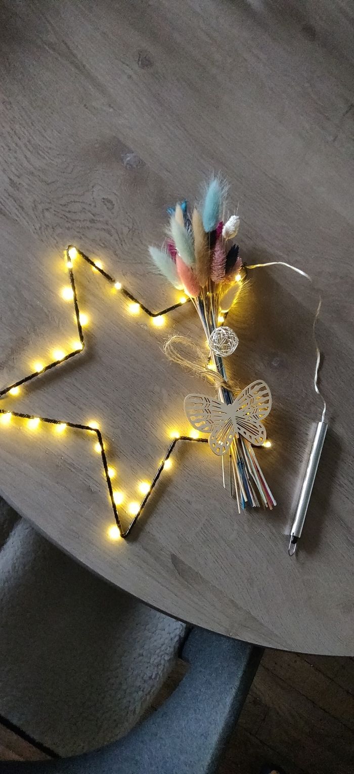 Étoile lumineuse - photo numéro 2